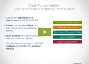 Credit Fundamentals in Action Webinar